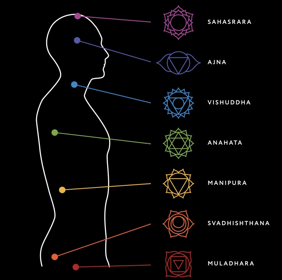 Karmuka Yoga, the Chakras and the endocrine system - Karmuka Yoga