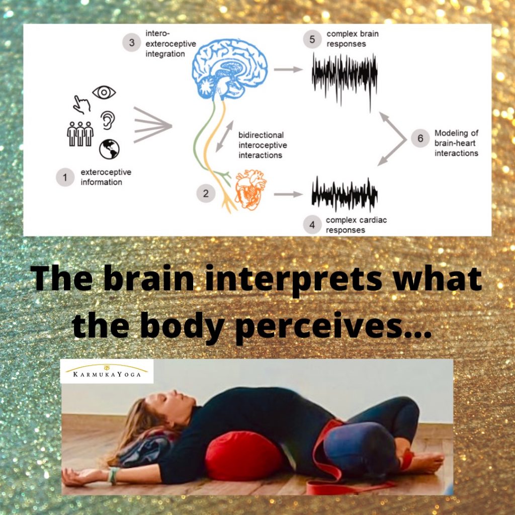 Yoga Asana and Vagus Nerve Function - Karmuka Yoga