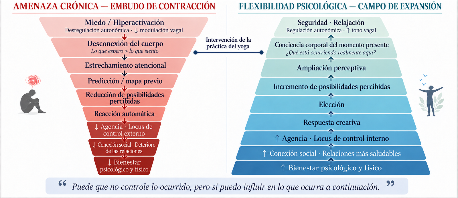 Comparación entre el estrechamiento perceptivo asociado a la amenaza crónica y la ampliación de posibilidades, elección y conexión social vinculada a la flexibilidad psicológica.