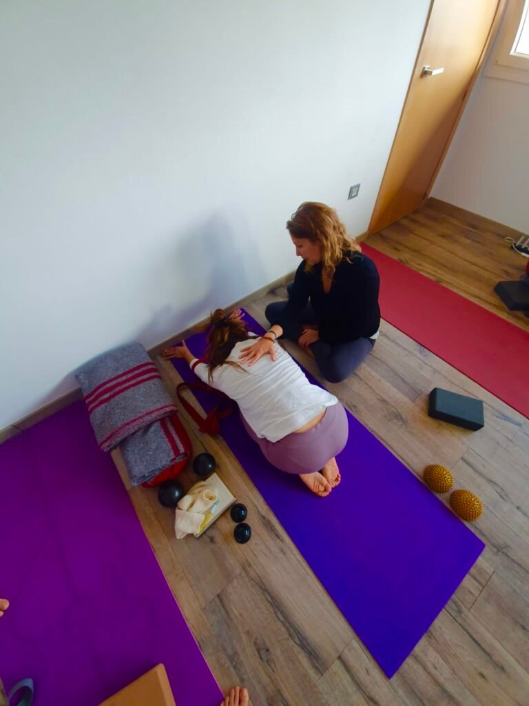 Dr. Michelle Goodrick of Karmuka Yoga in a Yoga Therapy Session