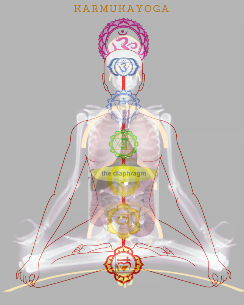 Image of yoga and the enteric nervous system